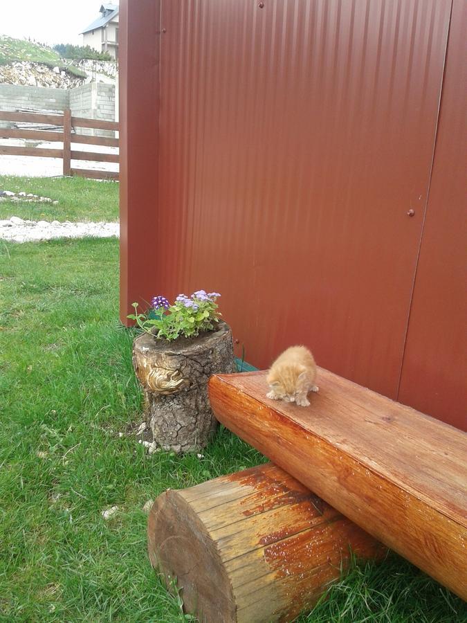 Boskovica Brvnare Pensionat Žabljak Eksteriør billede