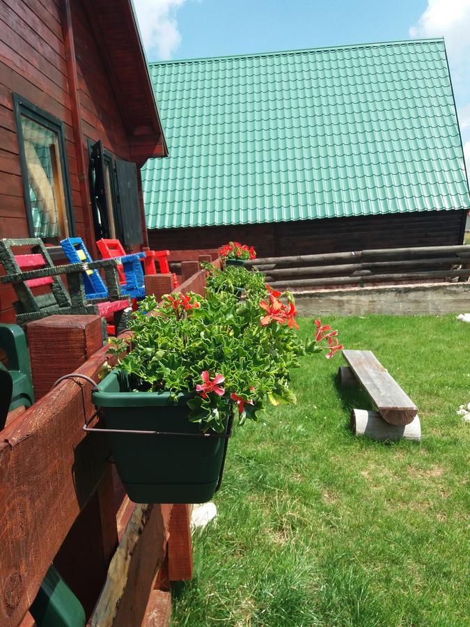 Boskovica Brvnare Pensionat Žabljak Eksteriør billede